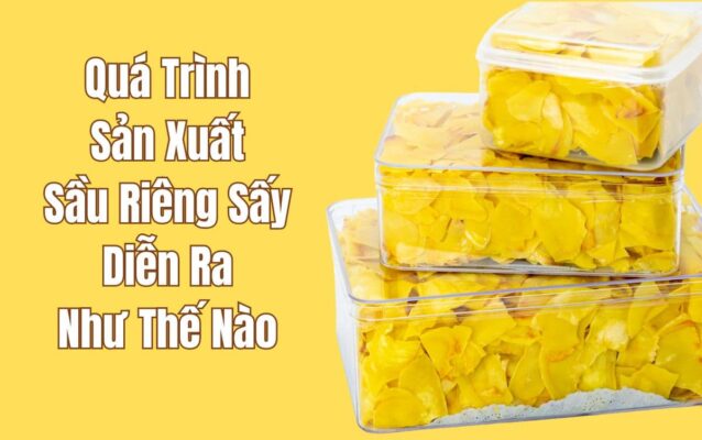 Bí Quyết Sản Xuất Sầu Riêng Sấy Thơm Ngon Đặc Biệt 2