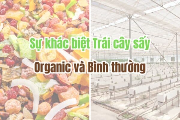 Sự khác biệt của trái cây sấy Organic và trái cây sấy bình thường