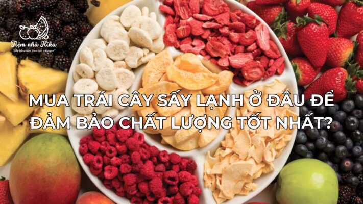 mua trái cây sấy lạnh ở đâu