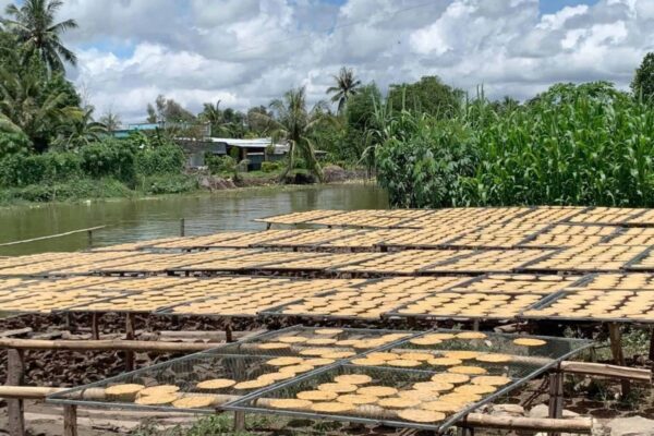 Trái cây sấy phơi nắng