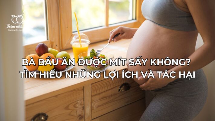 Bà Bầu Ăn Được Mít Sấy Không? Tìm Hiểu Những Lợi Ích Và Tác Hại