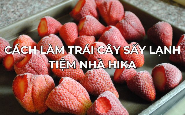 cách làm trái cây sấy lạnh tiệm nhà hika