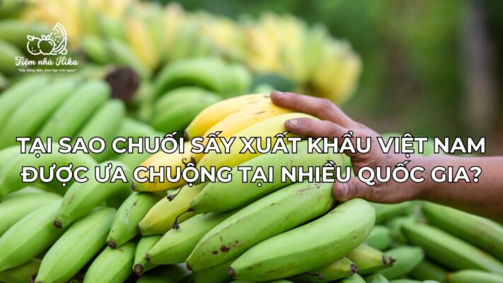 Tại Sao Chuối Sấy Xuất Khẩu Việt Nam Được Ưa Chuộng Tại Nhiều Quốc Gia?