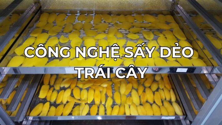 Công Nghệ Sấy Dẻo Trái Cây: Giải Pháp Hoàn Hảo Cho Nhu Cầu Tiêu Thụ 1