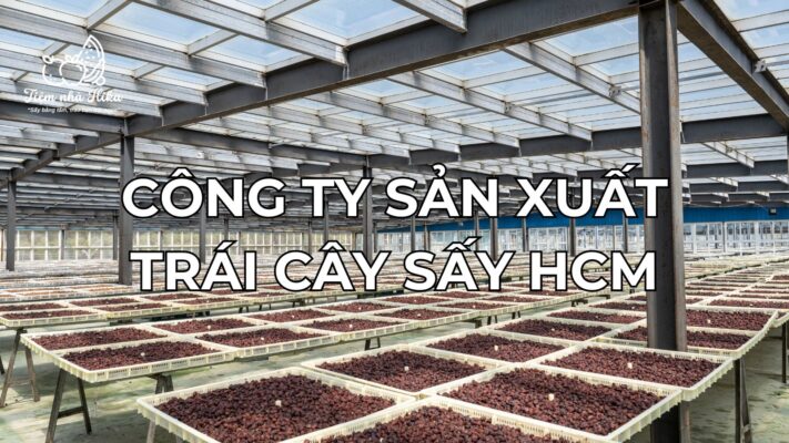 Công Ty Sản Xuất Trái Cây Sấy