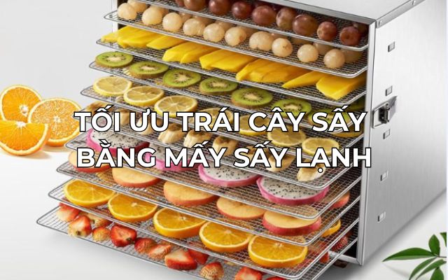 tối ưu trái cây sấy bằng mấy sấy lạnh