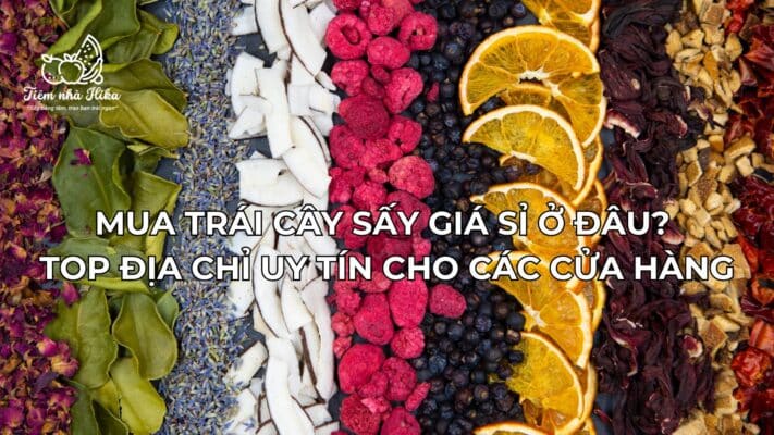 Mua Trái Cây Sấy Giá Sỉ Ở Đâu? Top Địa Chỉ Uy Tín Cho Các Cửa Hàng