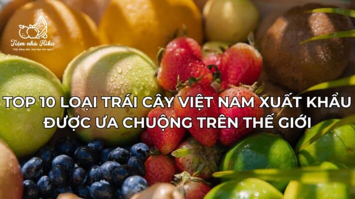 Top 10 Loại Trái Cây Việt Nam Xuất Khẩu Được Ưa Chuộng Trên Thế Giới