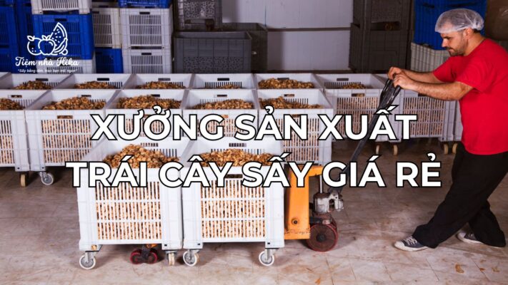 Xưởng Sản Xuất Trái Cây Sấy Giá Rẻ