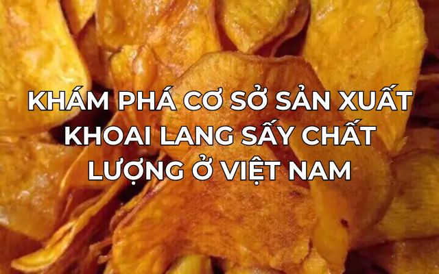 Khám Phá Cơ Sở Sản Xuất Khoai Lang Sấy Chất Lượng Ở Việt Nam 13